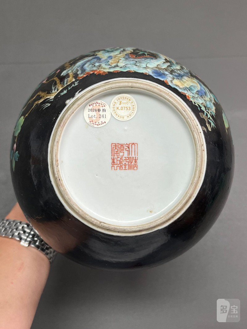 民国  墨地珐琅彩花鸟图天球瓶 - 图13